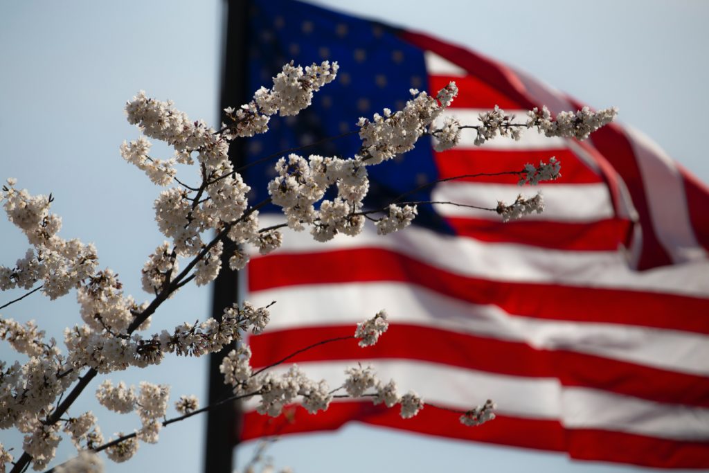 American Flag in the background with flowers in the foreground